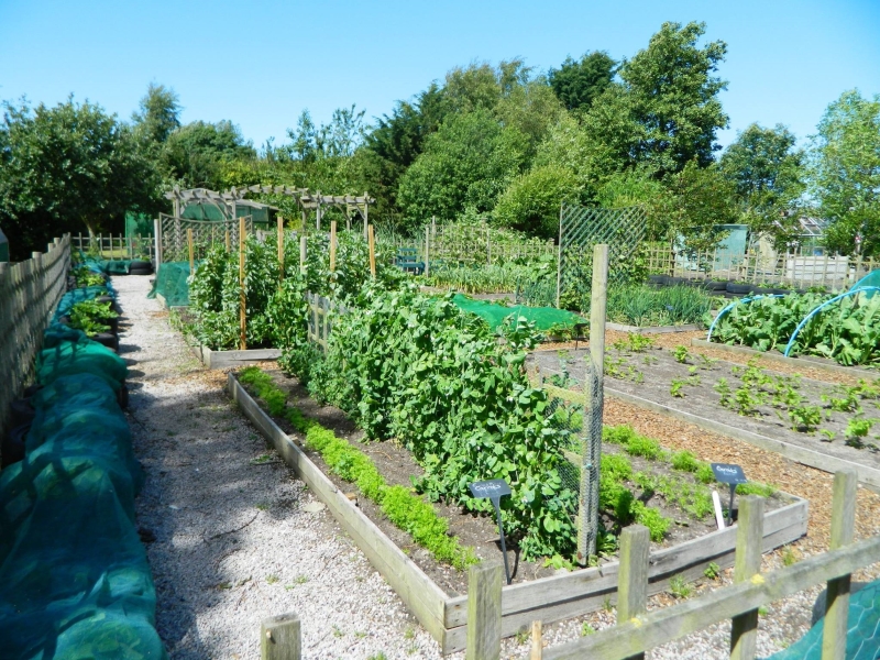 Bridge Inn Community Farm